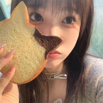 飙速同行:极限单车之旅