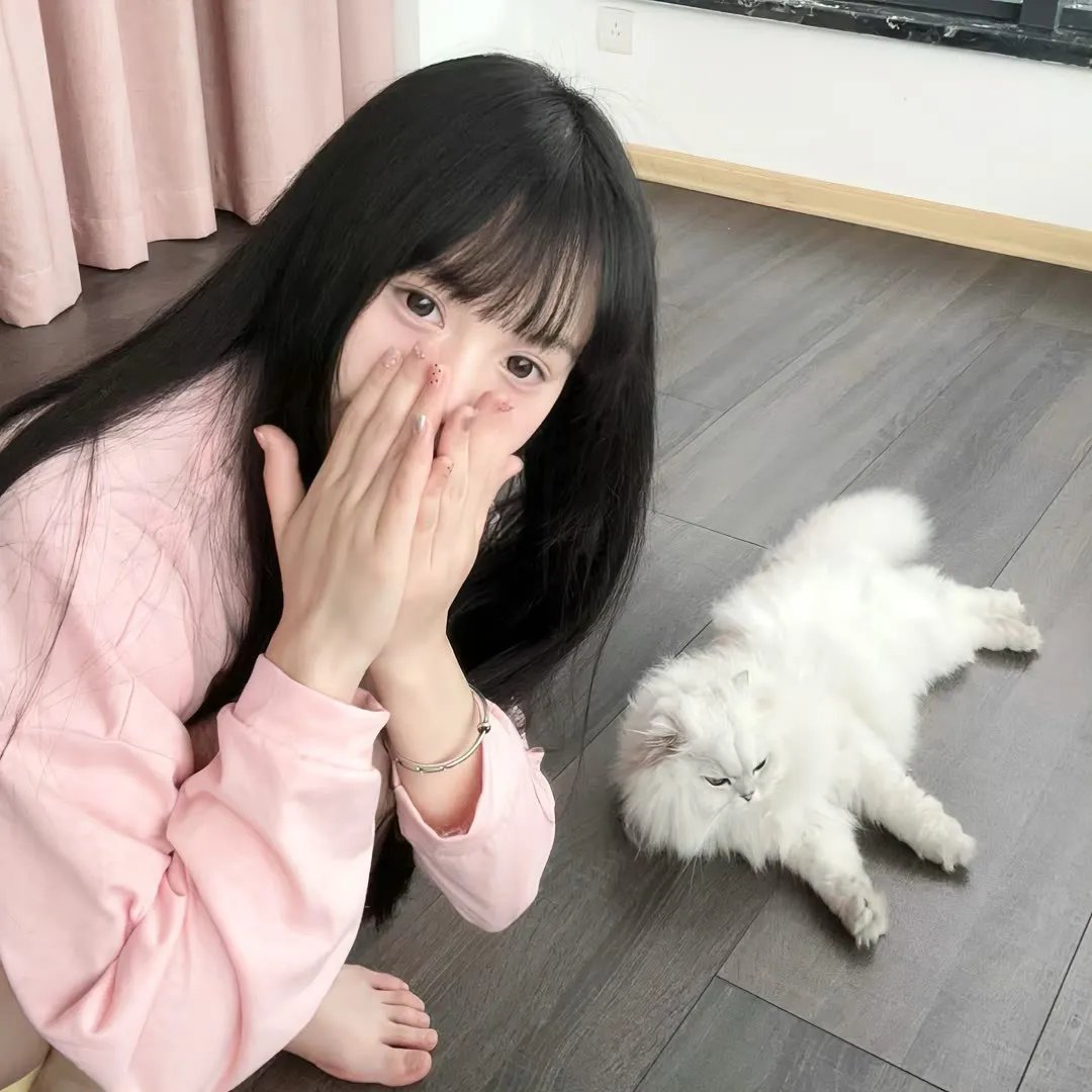 坏蛋狐狸的故事